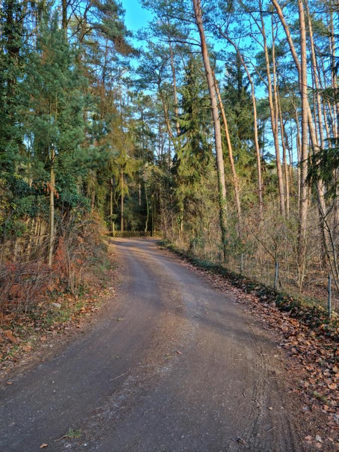 Waldhaus Doetlingen Ferienhaus Im Naturpark Exterior photo